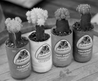 jarritos-mexican-soda-GgTwJDt6DCI-unsplash